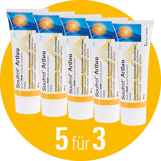 Soufrol® Arthro Crème mit organischem Schwefel - Kühlende Schmerzlinderung Fördert die Gelenkbeweglichkeit. Für Langzeittherapie geeignet